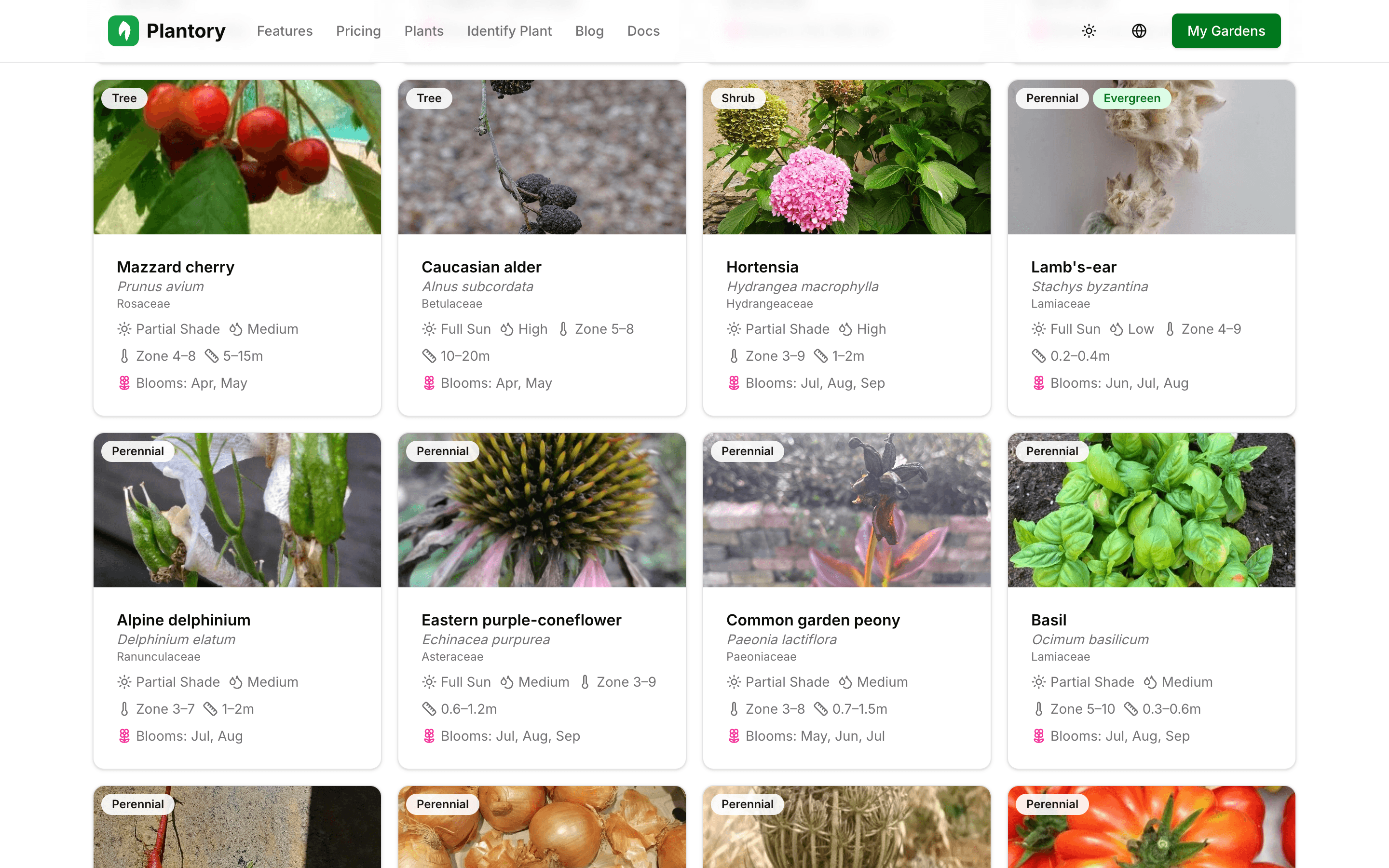 Pagina di sfoglimento enciclopedia piante con filtri