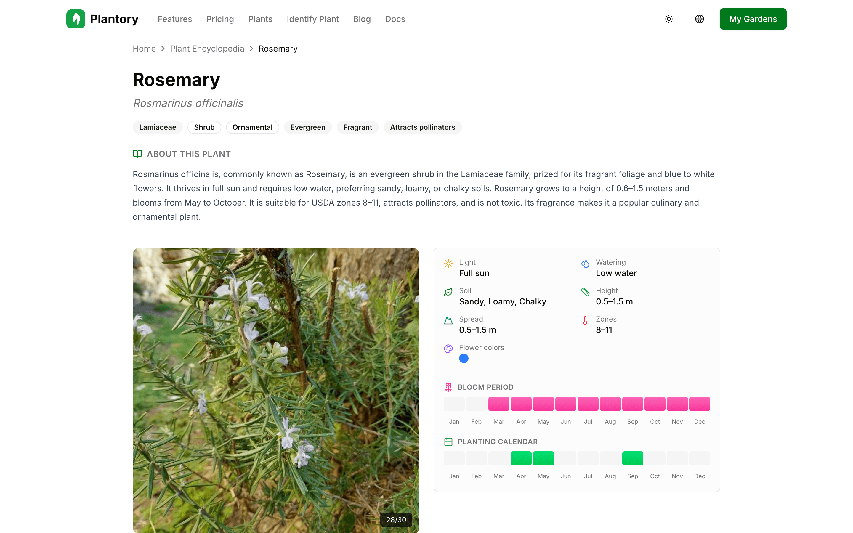 Pagina dettaglio pianta con informazioni di cura